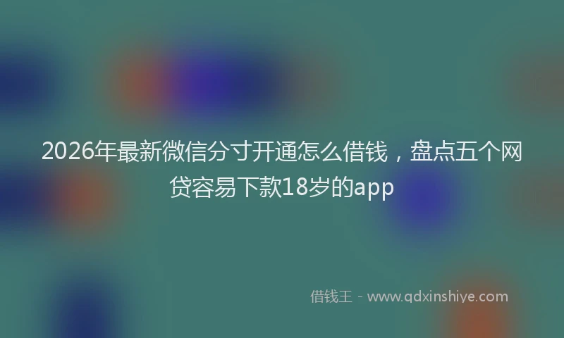 2026年最新微信分寸开通怎么借钱，盘点五个网贷容易下款18岁的app