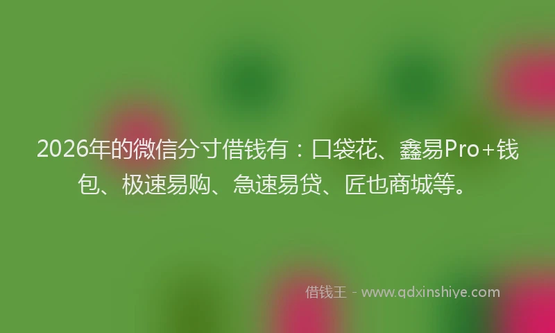 2026年的微信分寸借钱有：口袋花、鑫易Pro+钱包、极速易购、急速易贷、匠也商城等。