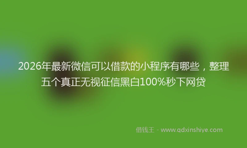 2026年最新微信可以借款的小程序有哪些，整理五个真正无视征信黑白100%秒下网贷