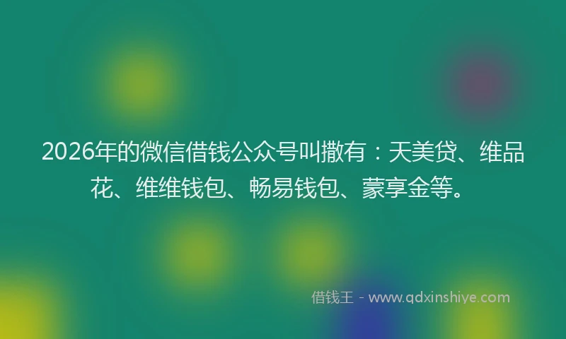 2026年的微信借钱公众号叫撒有：天美贷、维品花、维维钱包、畅易钱包、蒙享金等。