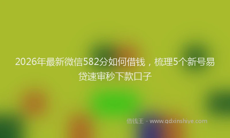 2026年最新微信582分如何借钱，梳理5个新号易贷速审秒下款口子