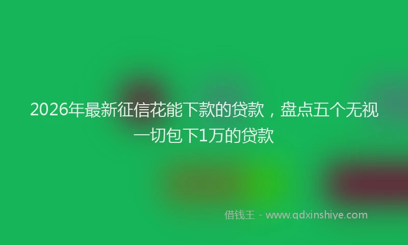 2026年最新征信花能下款的贷款，盘点五个无视一切包下1万的贷款