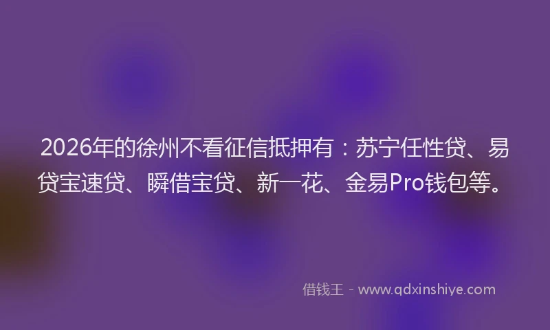 2026年的徐州不看征信抵押有：苏宁任性贷、易贷宝速贷、瞬借宝贷、新一花、金易Pro钱包等。