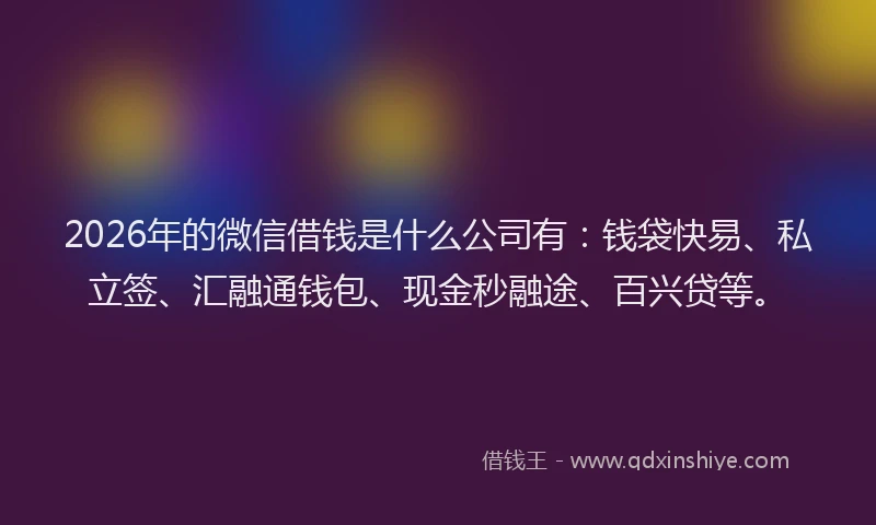 2026年的微信借钱是什么公司有：钱袋快易、私立签、汇融通钱包、现金秒融途、百兴贷等。