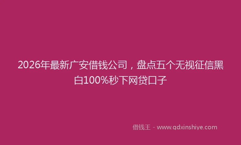 2026年最新广安借钱公司，盘点五个无视征信黑白100%秒下网贷口子