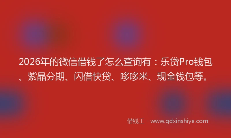 2026年的微信借钱了怎么查询有：乐贷Pro钱包、紫晶分期、闪借快贷、哆哆米、现金钱包等。
