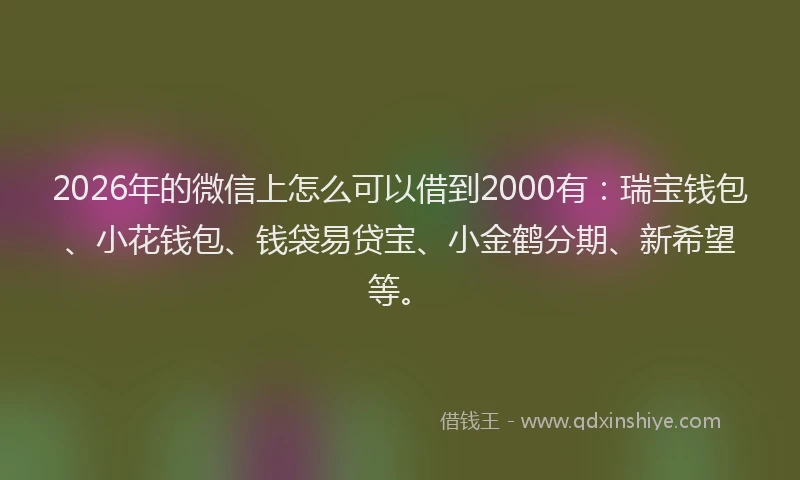 2026年的微信上怎么可以借到2000有：瑞宝钱包、小花钱包、钱袋易贷宝、小金鹤分期、新希望等。