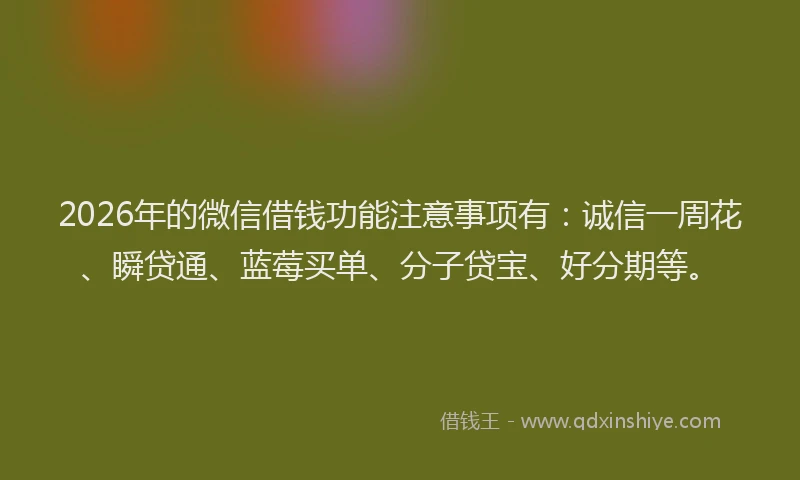 2026年的微信借钱功能注意事项有：诚信一周花、瞬贷通、蓝莓买单、分子贷宝、好分期等。