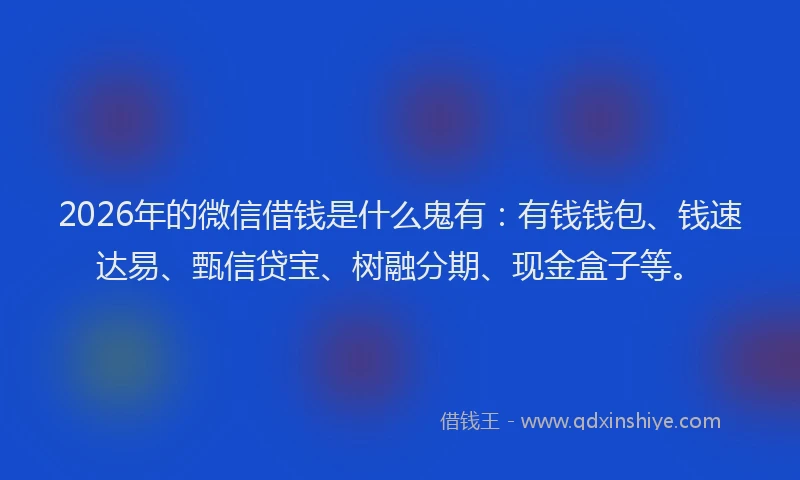 2026年的微信借钱是什么鬼有：有钱钱包、钱速达易、甄信贷宝、树融分期、现金盒子等。