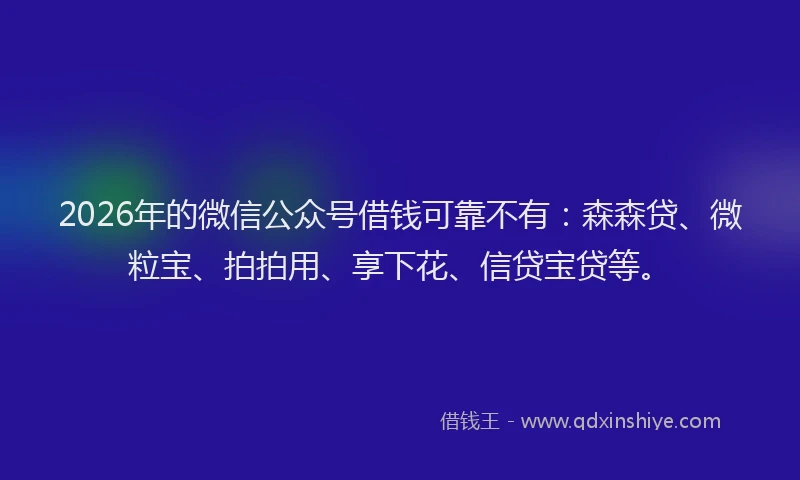 2026年的微信公众号借钱可靠不有：森森贷、微粒宝、拍拍用、享下花、信贷宝贷等。