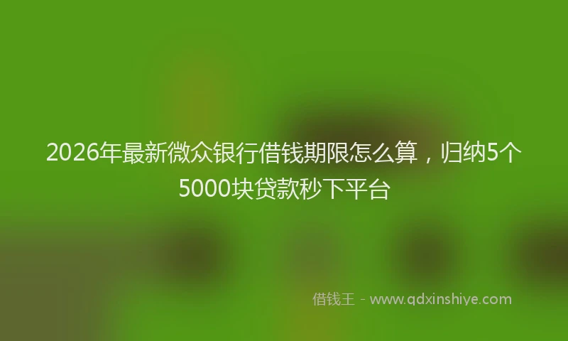 2026年最新微众银行借钱期限怎么算，归纳5个5000块贷款秒下平台