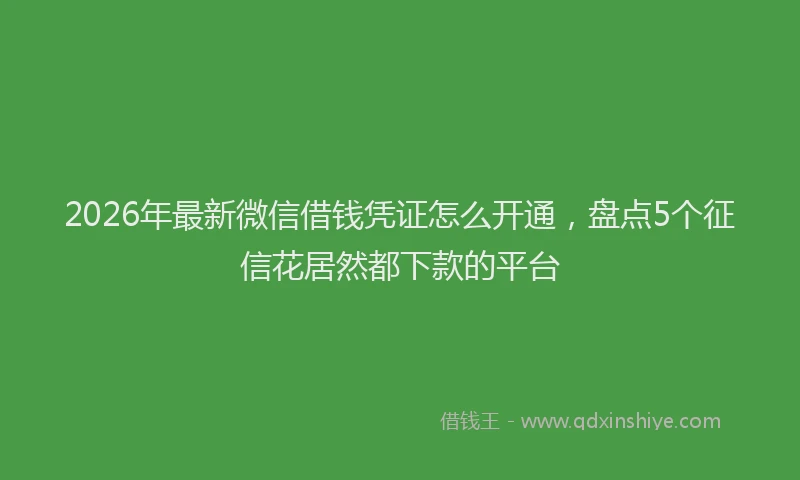 2026年最新微信借钱凭证怎么开通，盘点5个征信花居然都下款的平台