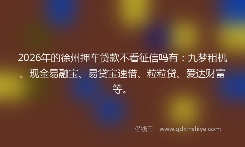 2026年的徐州押车贷款不看征信吗有：九梦租机、现金易融宝、易贷宝速借、粒粒贷、爱达财富等。