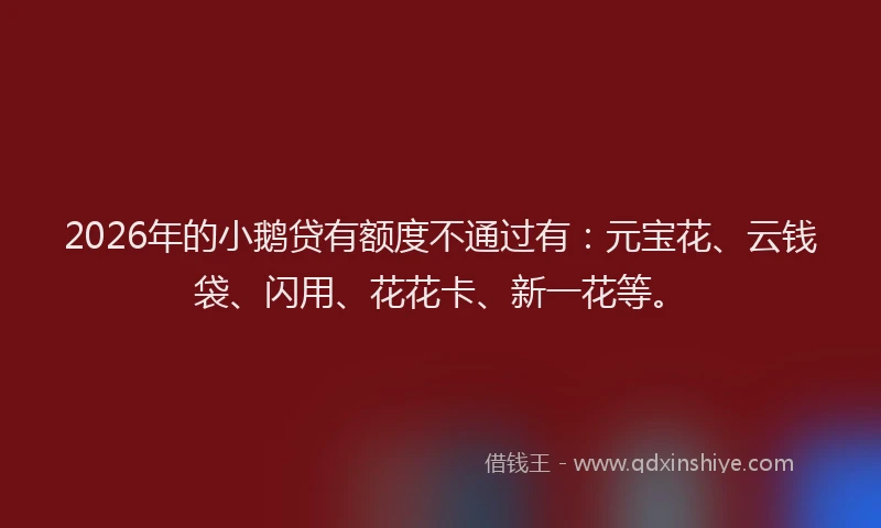2026年的小鹅贷有额度不通过有：元宝花、云钱袋、闪用、花花卡、新一花等。