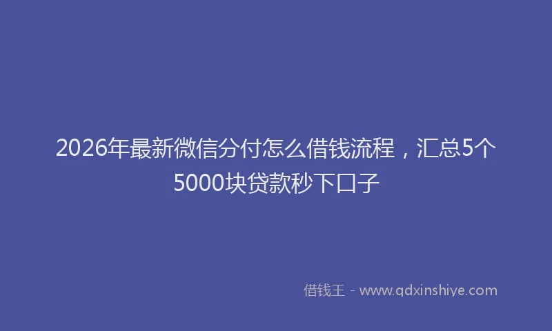 2026年最新微信分付怎么借钱流程，汇总5个5000块贷款秒下口子
