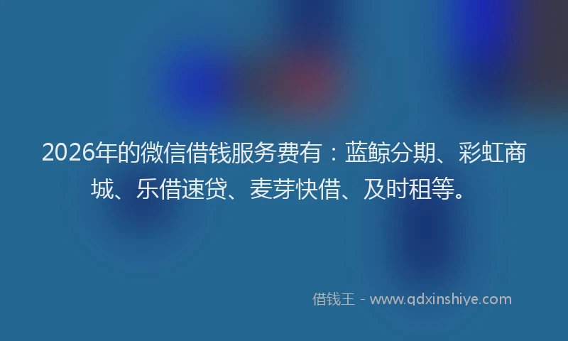 2026年的微信借钱服务费有：蓝鲸分期、彩虹商城、乐借速贷、麦芽快借、及时租等。