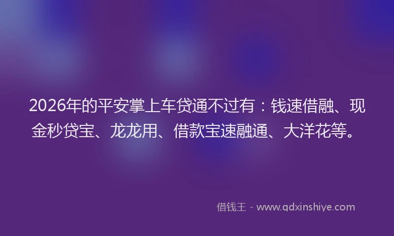 2026年的平安掌上车贷通不过有：钱速借融、现金秒贷宝、龙龙用、借款宝速融通、大洋花等。