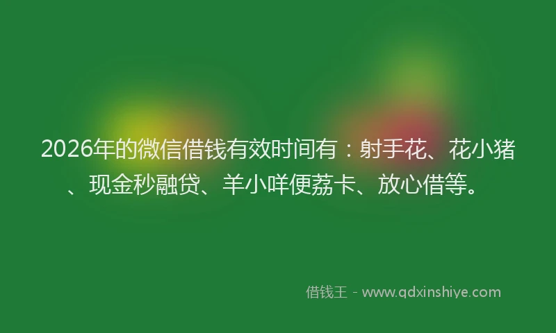 2026年的微信借钱有效时间有：射手花、花小猪、现金秒融贷、羊小咩便荔卡、放心借等。