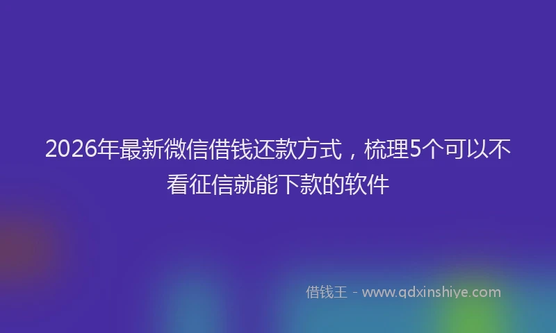 2026年最新微信借钱还款方式，梳理5个可以不看征信就能下款的软件