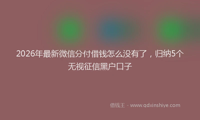2026年最新微信分付借钱怎么没有了，归纳5个无视征信黑户口子