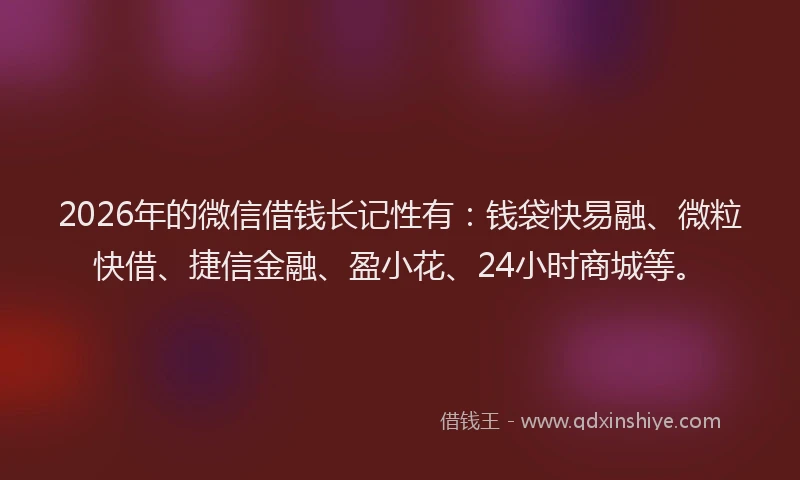 2026年的微信借钱长记性有：钱袋快易融、微粒快借、捷信金融、盈小花、24小时商城等。
