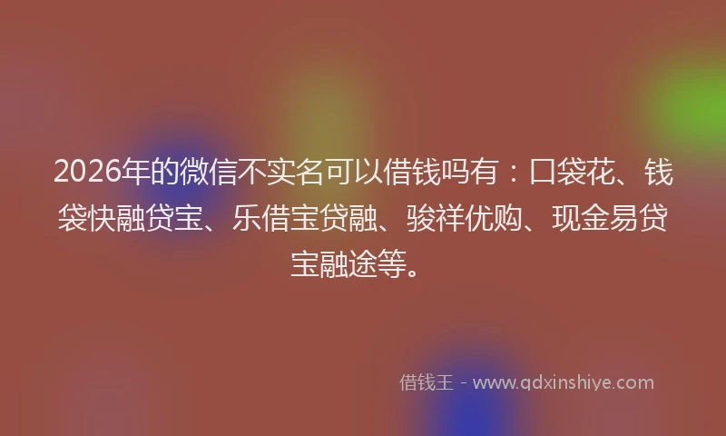 2026年的微信不实名可以借钱吗有：口袋花、钱袋快融贷宝、乐借宝贷融、骏祥优购、现金易贷宝融途等。