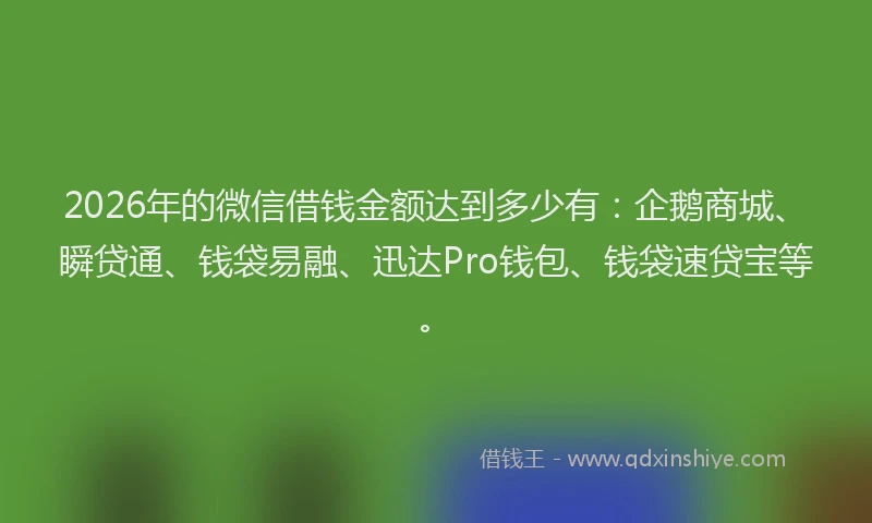 2026年的微信借钱金额达到多少有：企鹅商城、瞬贷通、钱袋易融、迅达Pro钱包、钱袋速贷宝等。