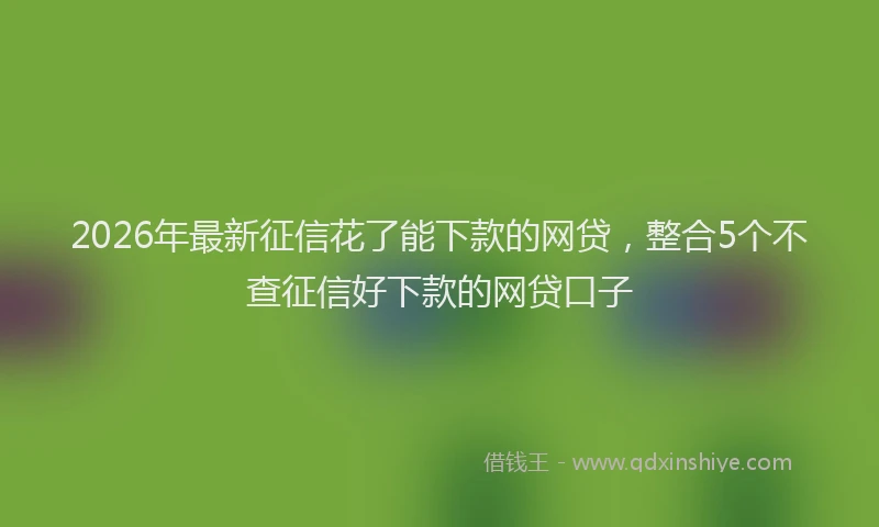2026年最新征信花了能下款的网贷，整合5个不查征信好下款的网贷口子