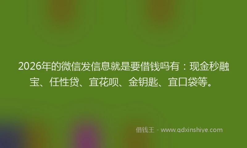 2026年的微信发信息就是要借钱吗有：现金秒融宝、任性贷、宜花呗、金钥匙、宜口袋等。