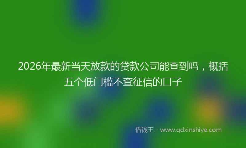 2026年最新当天放款的贷款公司能查到吗，概括五个低门槛不查征信的口子