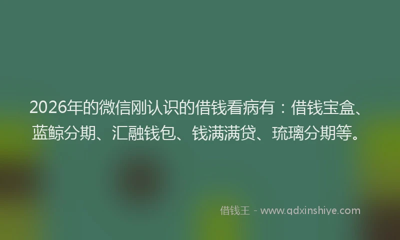 2026年的微信刚认识的借钱看病有：借钱宝盒、蓝鲸分期、汇融钱包、钱满满贷、琉璃分期等。