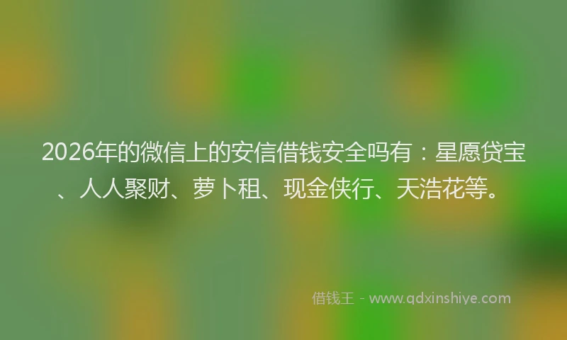 2026年的微信上的安信借钱安全吗有：星愿贷宝、人人聚财、萝卜租、现金侠行、天浩花等。