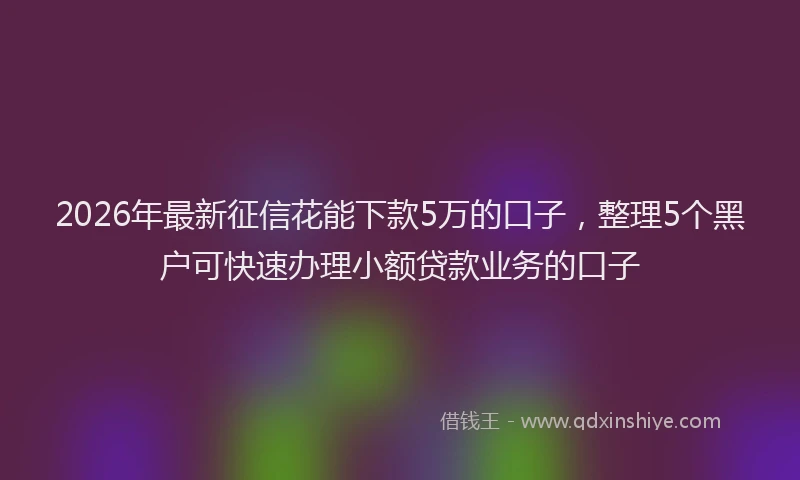 2026年最新征信花能下款5万的口子，整理5个黑户可快速办理小额贷款业务的口子