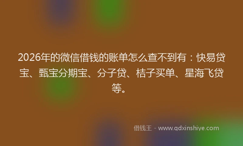 2026年的微信借钱的账单怎么查不到有：快易贷宝、甄宝分期宝、分子贷、桔子买单、星海飞贷等。