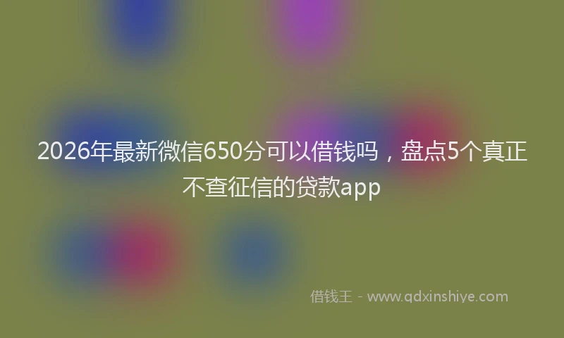 2026年最新微信650分可以借钱吗，盘点5个真正不查征信的贷款app