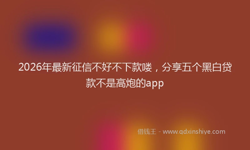 2026年最新征信不好不下款喽，分享五个黑白贷款不是高炮的app