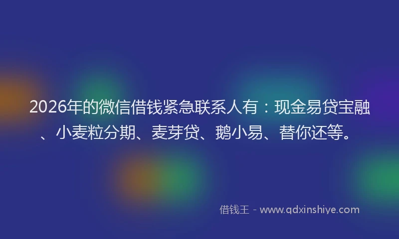 2026年的微信借钱紧急联系人有：现金易贷宝融、小麦粒分期、麦芽贷、鹅小易、替你还等。