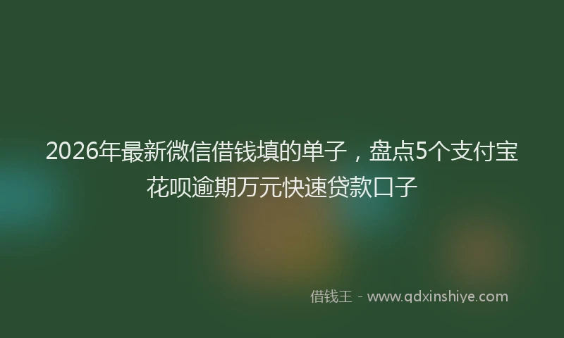2026年最新微信借钱填的单子，盘点5个支付宝花呗逾期万元快速贷款口子