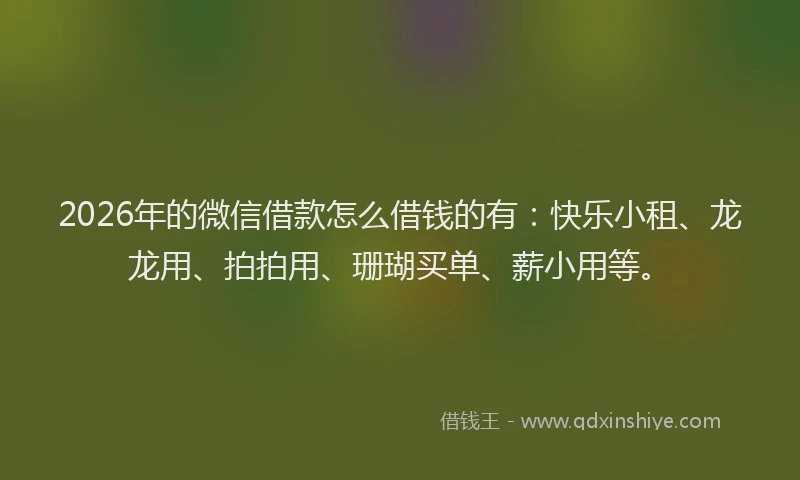 2026年的微信借款怎么借钱的有：快乐小租、龙龙用、拍拍用、珊瑚买单、薪小用等。