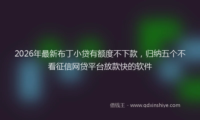 2026年最新布丁小贷有额度不下款，归纳五个不看征信网贷平台放款快的软件