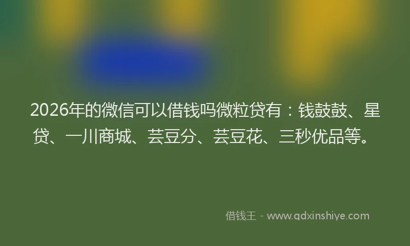 2026年的微信可以借钱吗微粒贷有：钱鼓鼓、星贷、一川商城、芸豆分、芸豆花、三秒优品等。