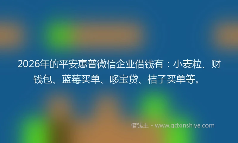 2026年的平安惠普微信企业借钱有：小麦粒、财钱包、蓝莓买单、哆宝贷、桔子买单等。