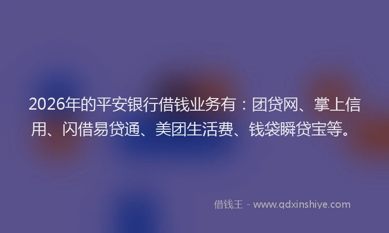 2026年的平安银行借钱业务有：团贷网、掌上信用、闪借易贷通、美团生活费、钱袋瞬贷宝等。