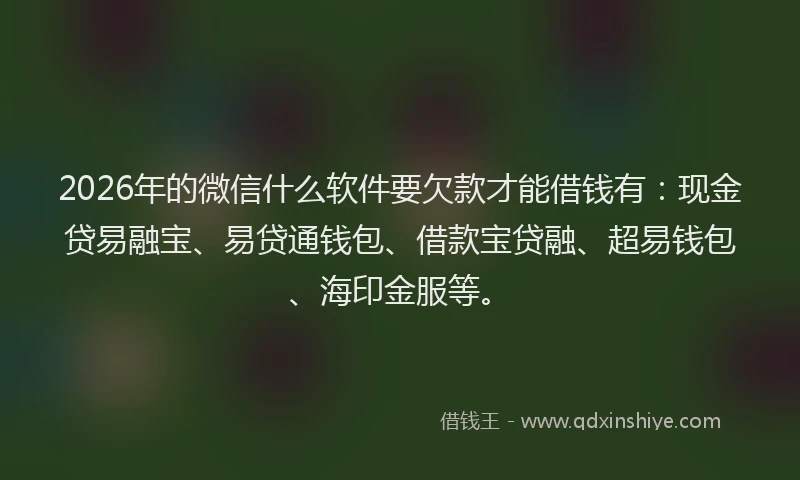 2026年的微信什么软件要欠款才能借钱有：现金贷易融宝、易贷通钱包、借款宝贷融、超易钱包、海印金服等。