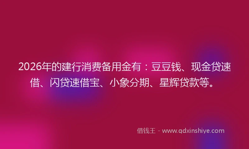2026年的建行消费备用金有：豆豆钱、现金贷速借、闪贷速借宝、小象分期、星辉贷款等。