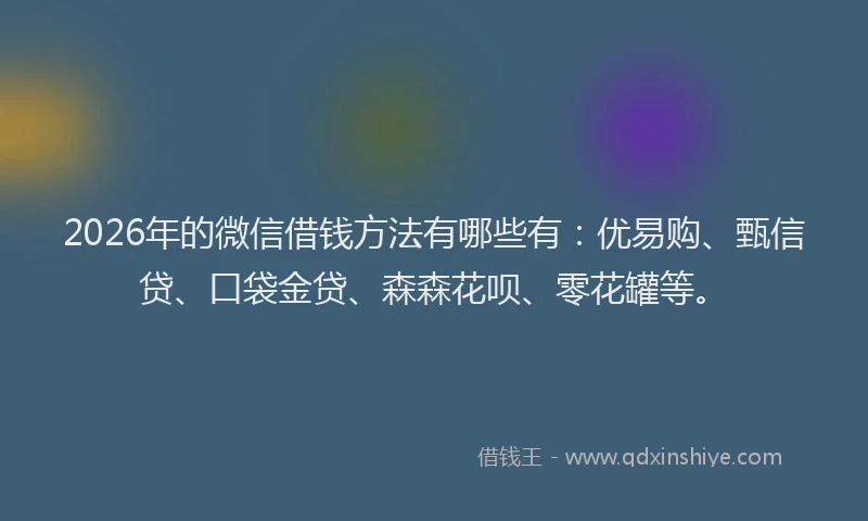 2026年的微信借钱方法有哪些有：优易购、甄信贷、口袋金贷、森森花呗、零花罐等。