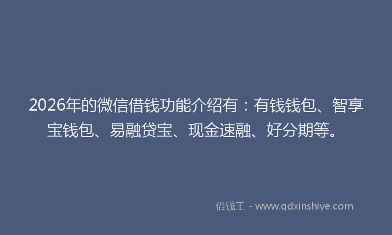 2026年的微信借钱功能介绍有：有钱钱包、智享宝钱包、易融贷宝、现金速融、好分期等。