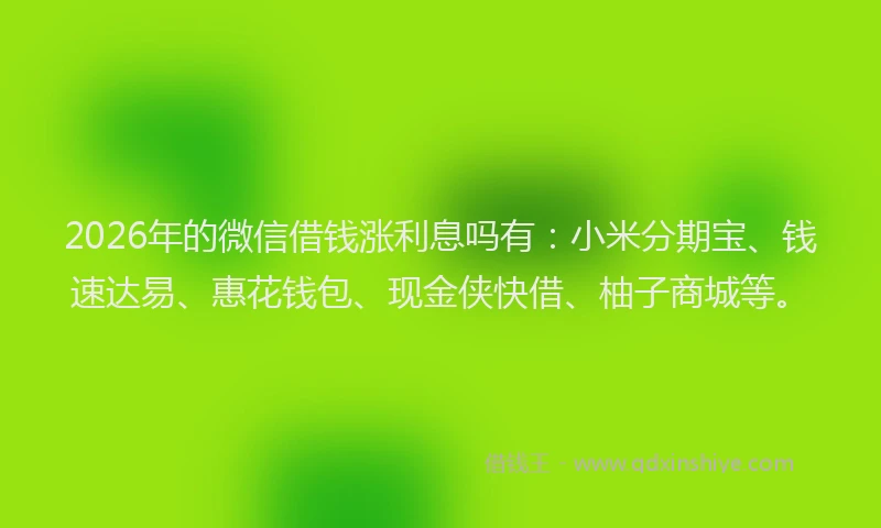 2026年的微信借钱涨利息吗有：小米分期宝、钱速达易、惠花钱包、现金侠快借、柚子商城等。