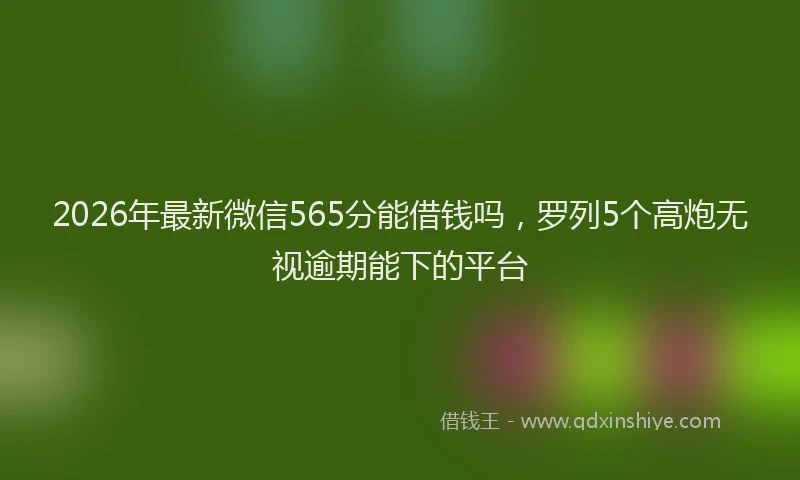 2026年最新微信565分能借钱吗，罗列5个高炮无视逾期能下的平台