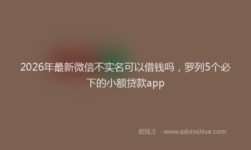 2026年最新微信不实名可以借钱吗，罗列5个必下的小额贷款app